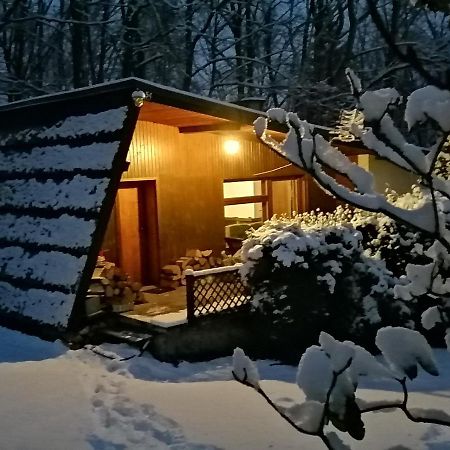 Chalpa Na Skarpie Villa Meszna Exterior foto