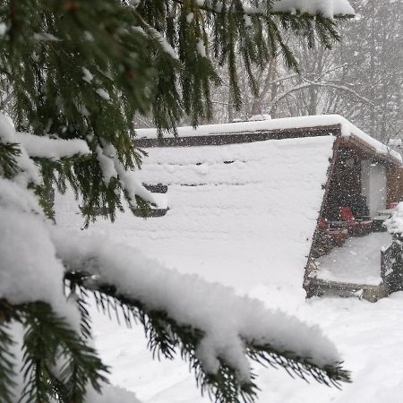 Chalpa Na Skarpie Villa Meszna Exterior foto