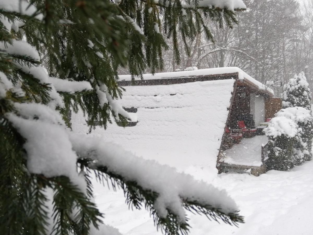 Chalpa Na Skarpie Villa Meszna Exterior foto